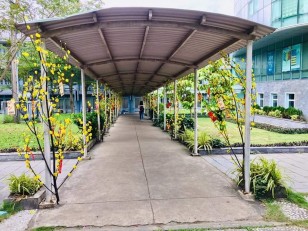 Một góc trường UIT