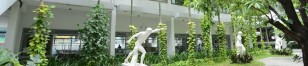 Khuôn viên khang trang sạch đẹp