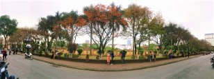 Con đường dải đầy lá vàng nằm trong khuôn viên trường