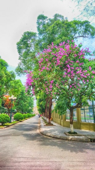 ĐH Ngoại ngữ - ULIS