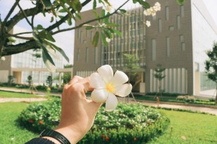 KHUÔN VIÊN TRƯỜNG HCMUSSH