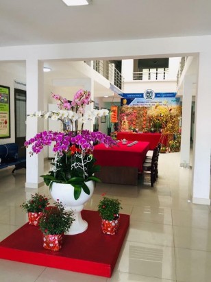 Một góc sân trường tại khu A